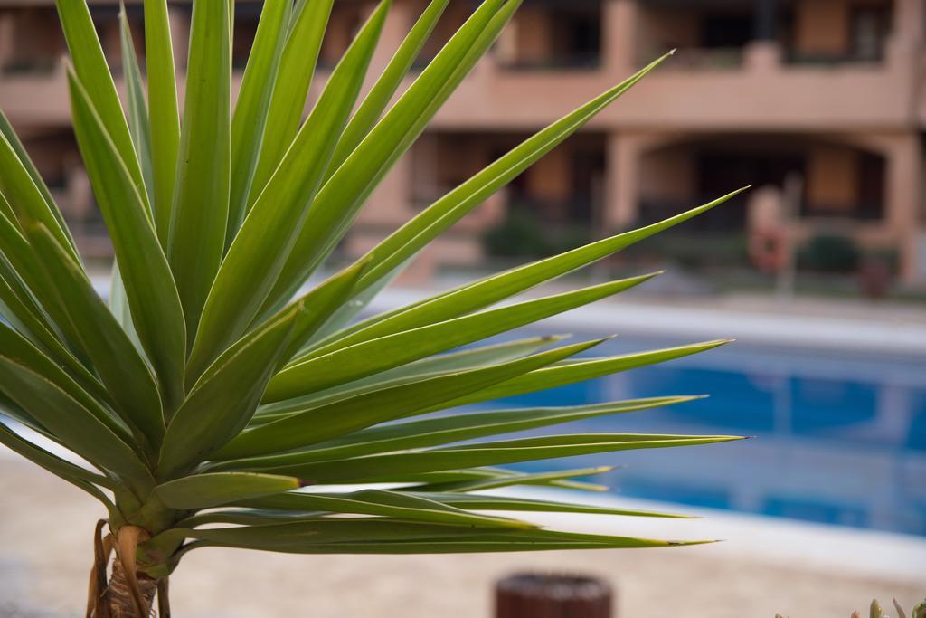 Apartamentos Turísticos Spiritmar Almerimar Bagian luar foto